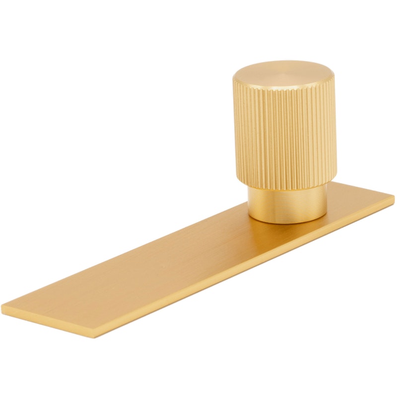 Arpa Nuppi Levyllä 22 mm, Brushed Brass