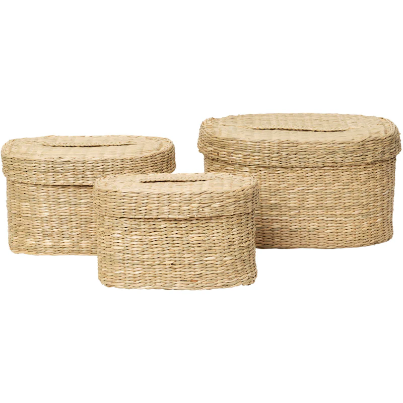 Gaby Kori Suorakulmainen 3 kpl:n pakkaus, Seagrass