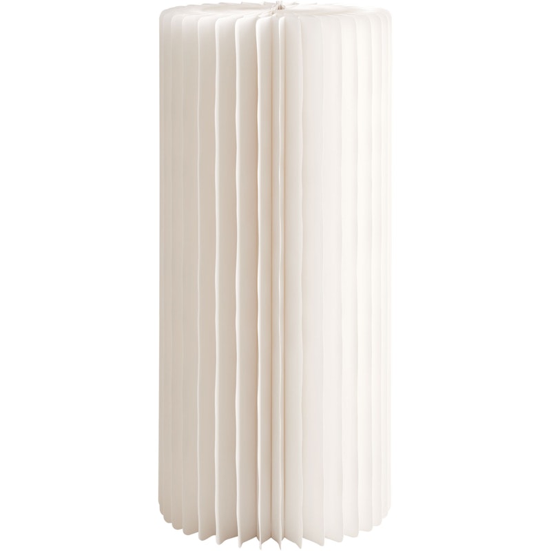 Sunset Lattiavalaisin, Valkoinen