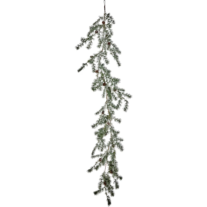 Pine Köynnös, Vihreä