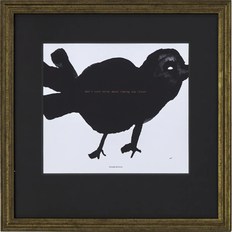HDBird Maalaus 40x40 cm, Musta
