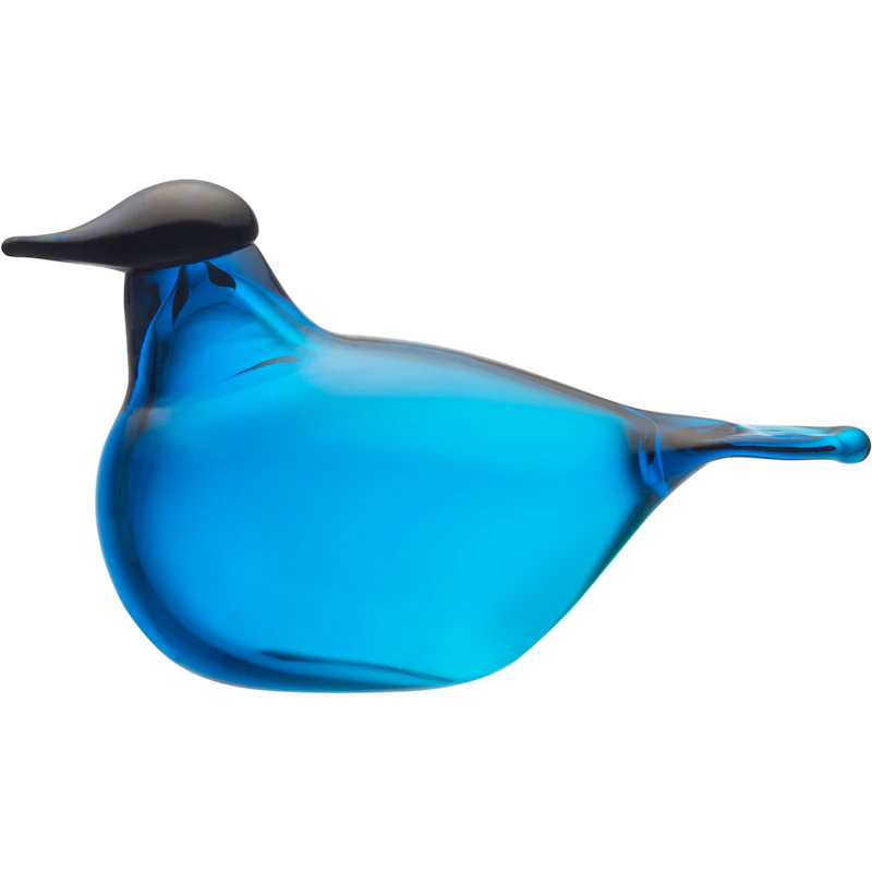 Chiffchaff Lasilintu, Turkoosi