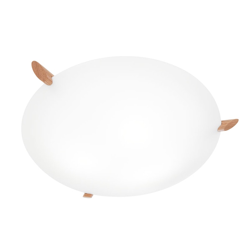 Ögla Plafondi Medium, Tammi