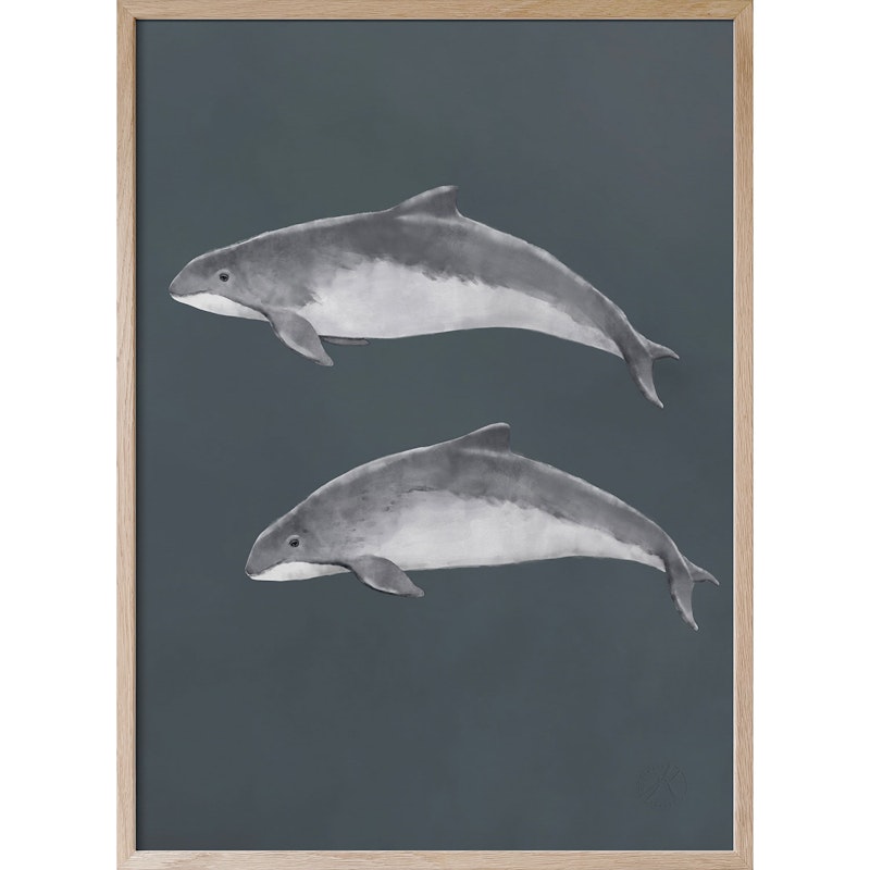 Baltic Porpoise Juliste, 30x40 cm