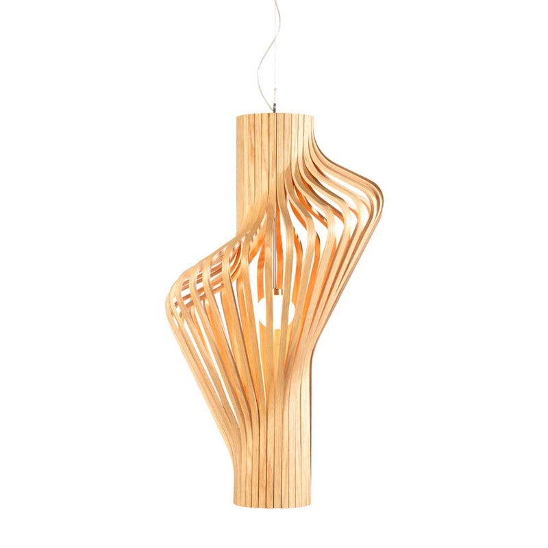 Diva Riippuvalaisin, Tammi