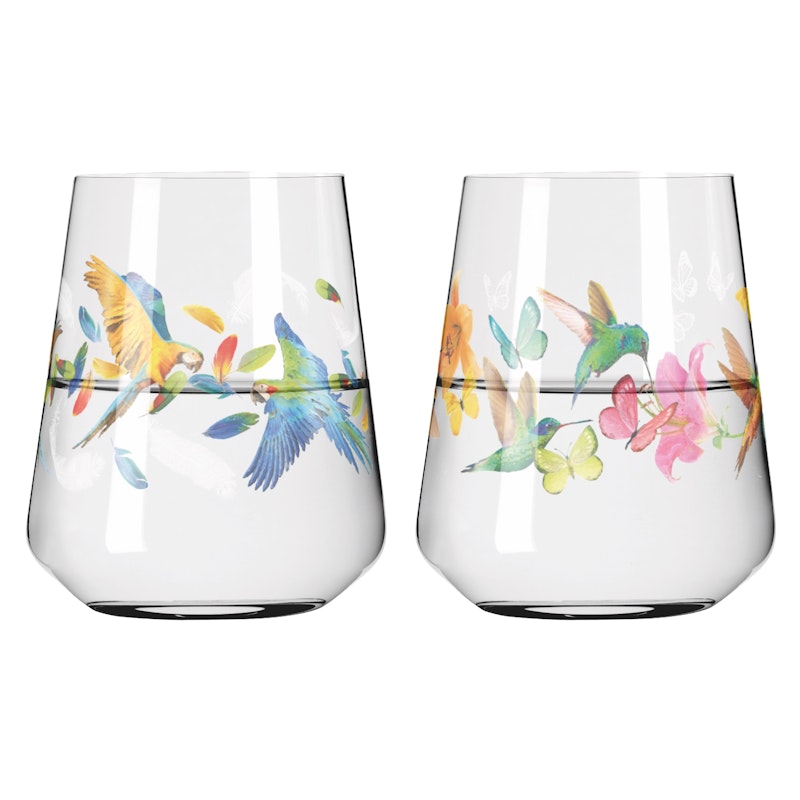 Sommertau Juomalasit 50 cl 2 kpl:n pakkaus, #3 & 4