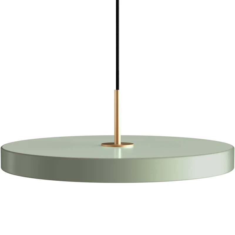 Asteria Riippuvalaisin Keskikokoinen, Nuance Olive