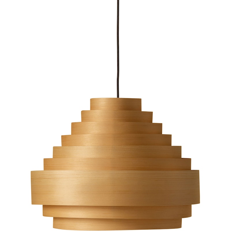 1001 Hans 38 Riippuvalaisin