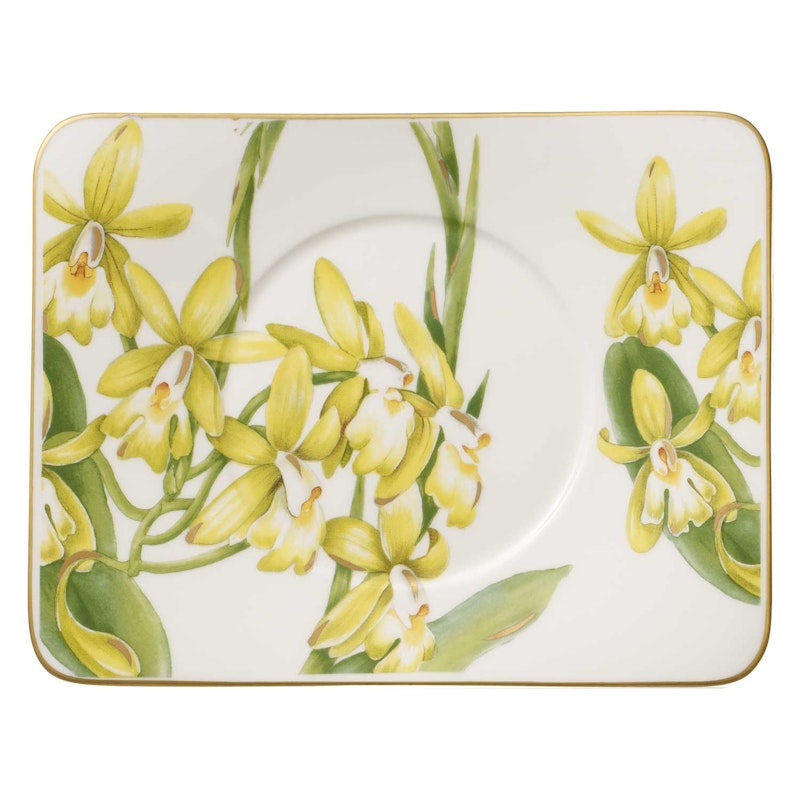 Amazonia Saucer Cup