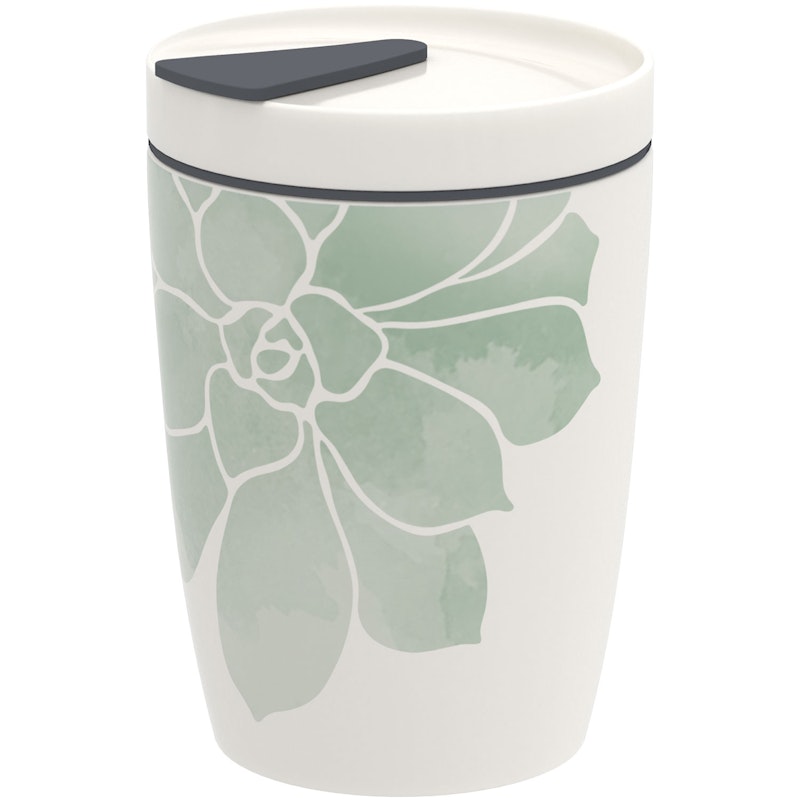 Coffee To Go Muki 29 cl, Socculente