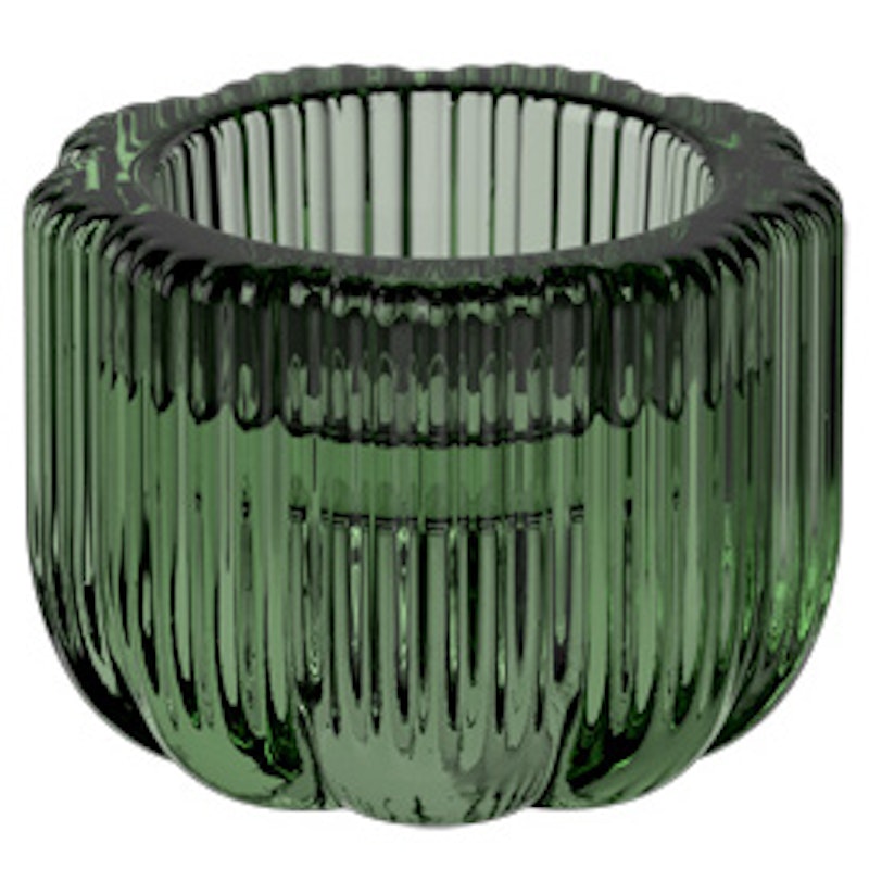 Fleur Kynttilänjalka, Vert